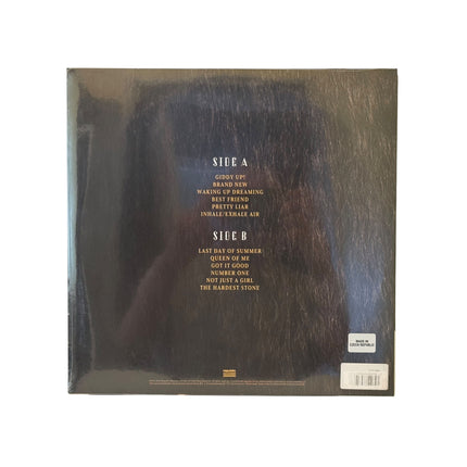 Shania Twain - Queen Of Me Vinyl Record LP