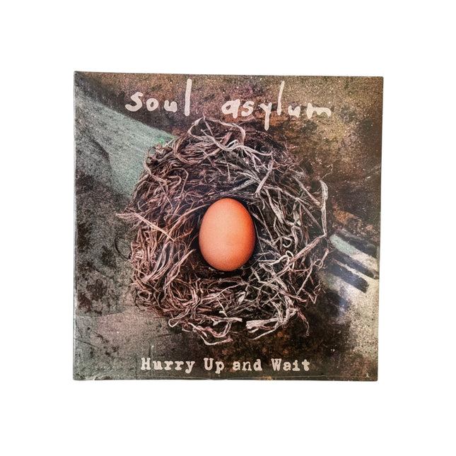 Soul Asylum - Hurry Up And Wait Vinyl Record 2 LP