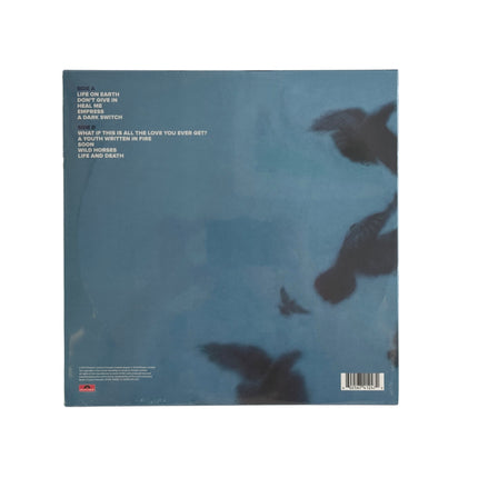 Snow Patrol - Wildness Vinyl Record LP